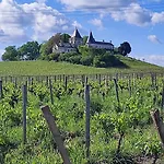 Σπίτι διακοπών Maison Charmeilles - Touristique - Fronsac (Gironde)
