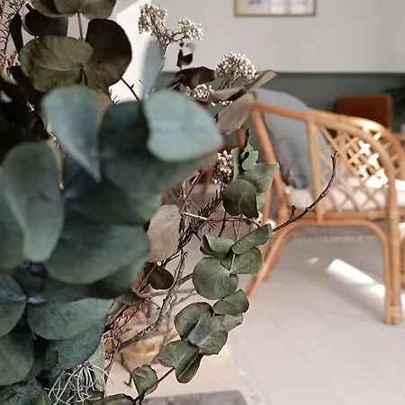 Maison Charmeilles - Touristique - Coliving Villa