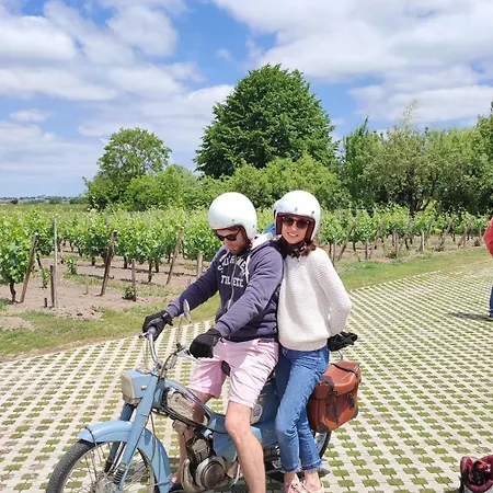 Villa Maison Charmeilles - Touristique - Coliving Fronsac (Gironde)