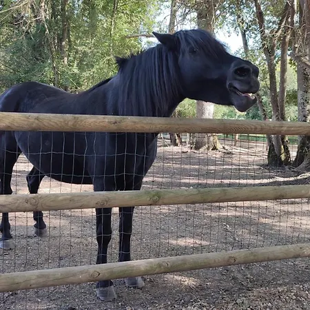 Maison Charmeilles - Touristique -