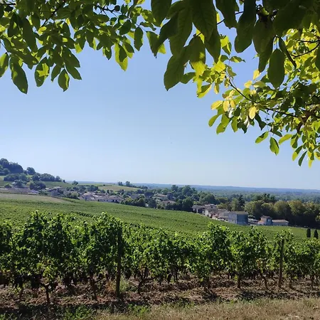 Σπίτι διακοπών Maison Charmeilles - Touristique - Fronsac (Gironde)
