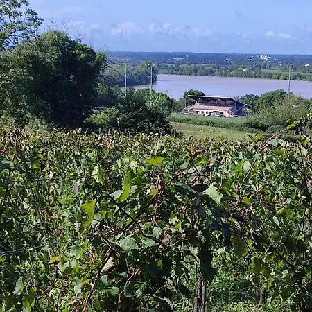 Villa Maison Charmeilles - Touristique - Coliving Fronsac (Gironde)