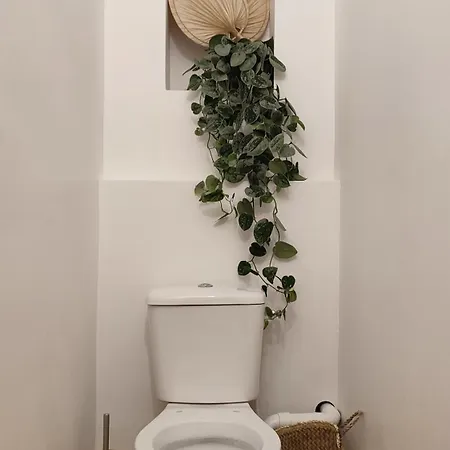 Semesterbostad Maison Charmeilles - Touristique - Fronsac (Gironde)