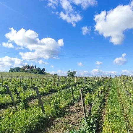 Maison Charmeilles - Touristique - Coliving *